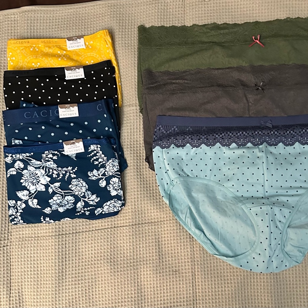Lane Bryant Cacique Multicolor Panty Collection